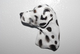 Dalmation Fridge Magnet